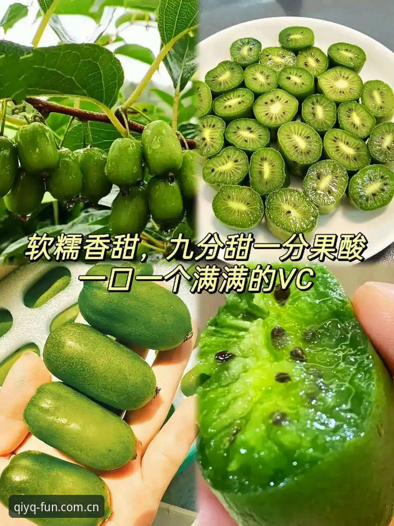 掌握奇异果体育安装步骤的实用指南：从下载到注册的完整经验分享