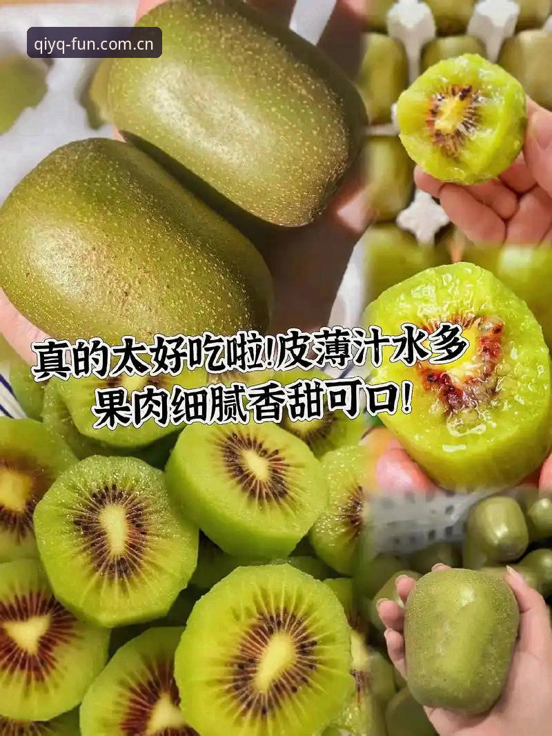 奇异果体育安装失败实用指南：从根源解决下载难题的必备知识